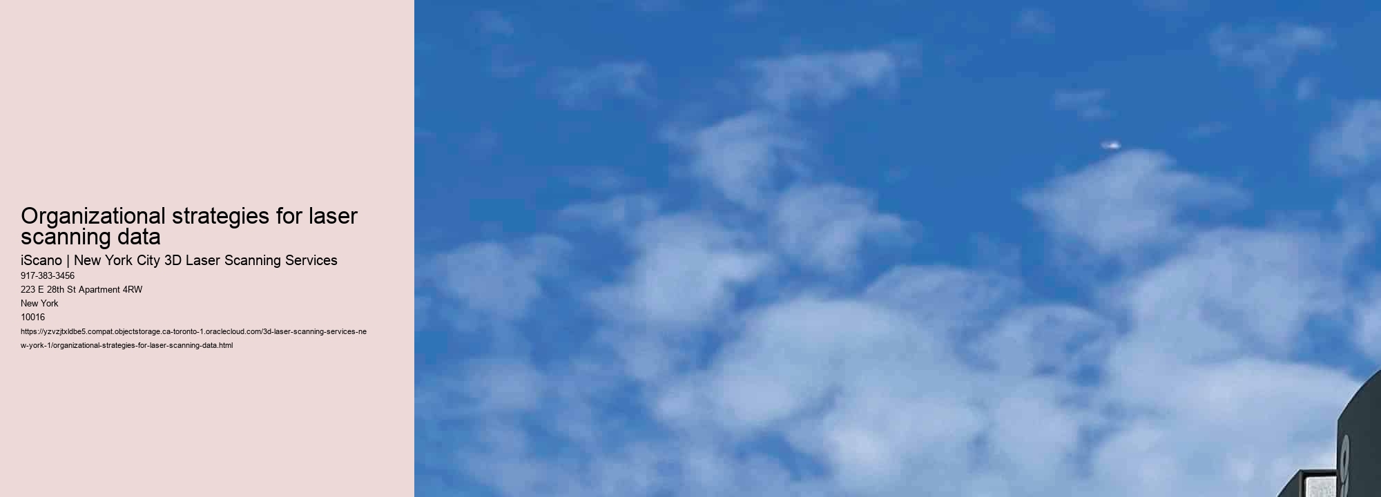 Organizational strategies for laser scanning data