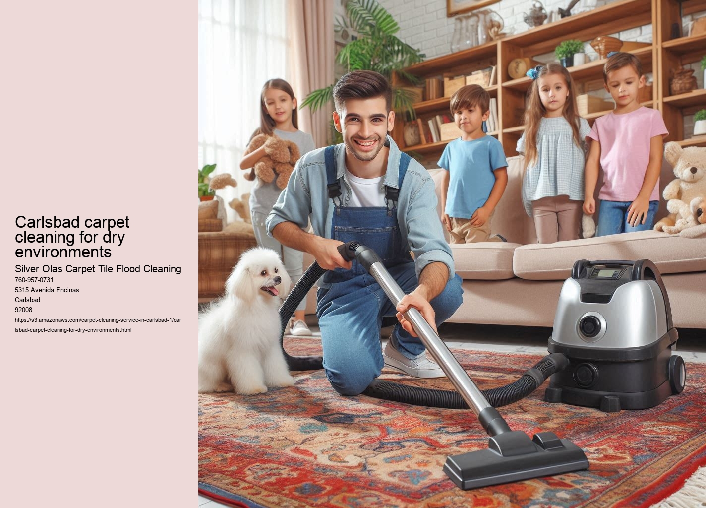 Carlsbad carpet cleaning for dry environments