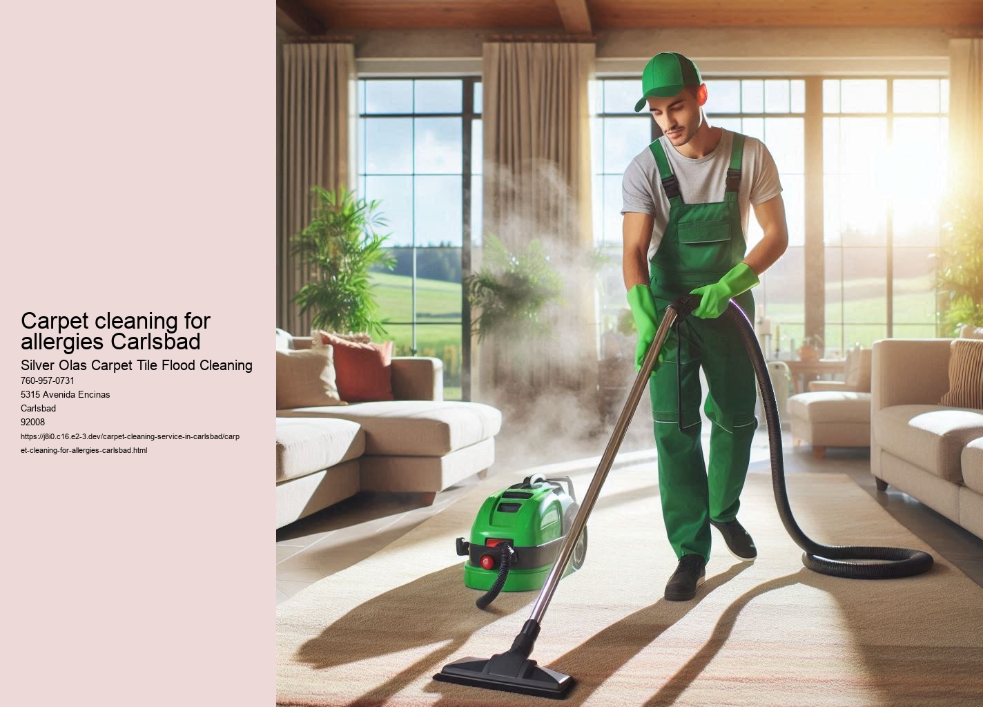Carpet cleaning for allergies Carlsbad