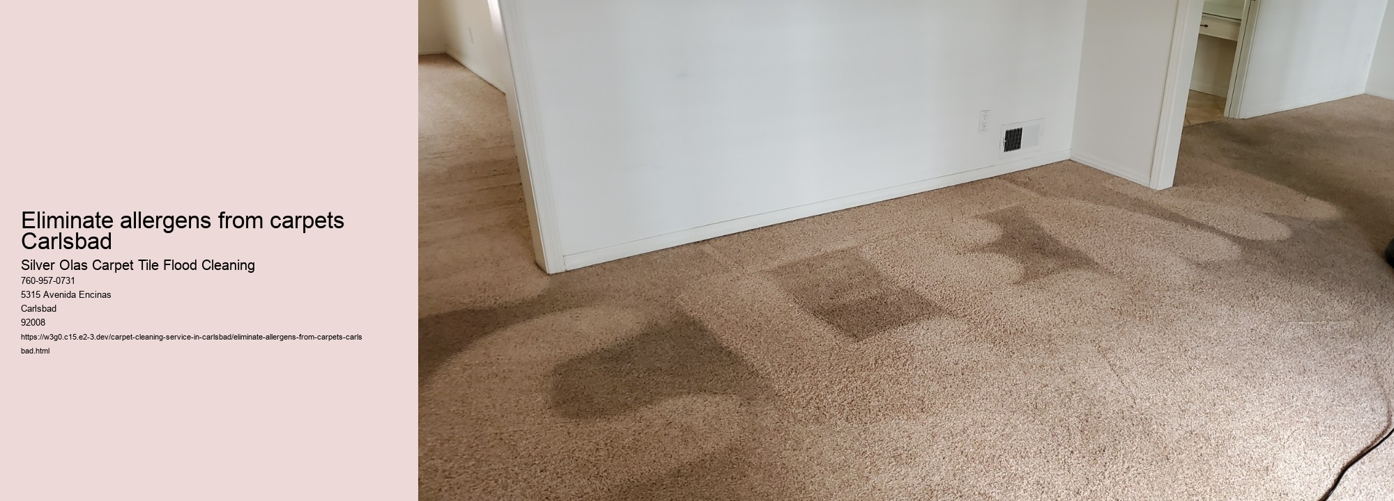 Eliminate allergens from carpets Carlsbad