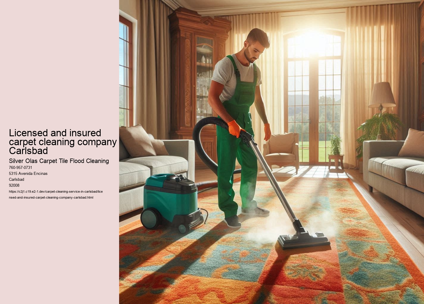 Licensed and insured carpet cleaning company Carlsbad